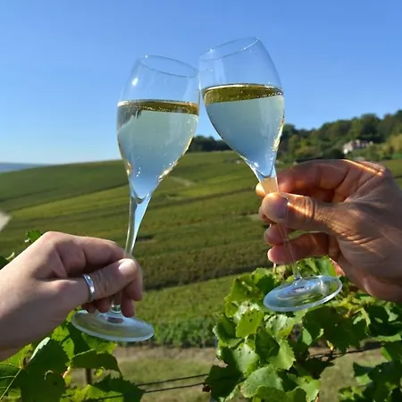 La P'tite Maison Vaudon Avize