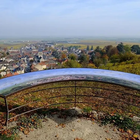 別荘 La P'tite Maison Vaudon Avize